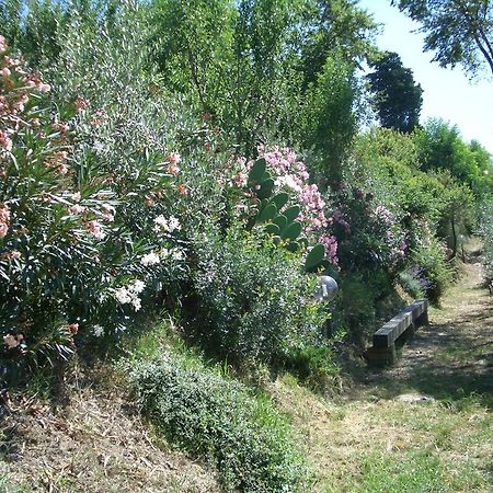 Maison d'hôtes Gli Oleandri à Castelfiorentino Extérieur photo