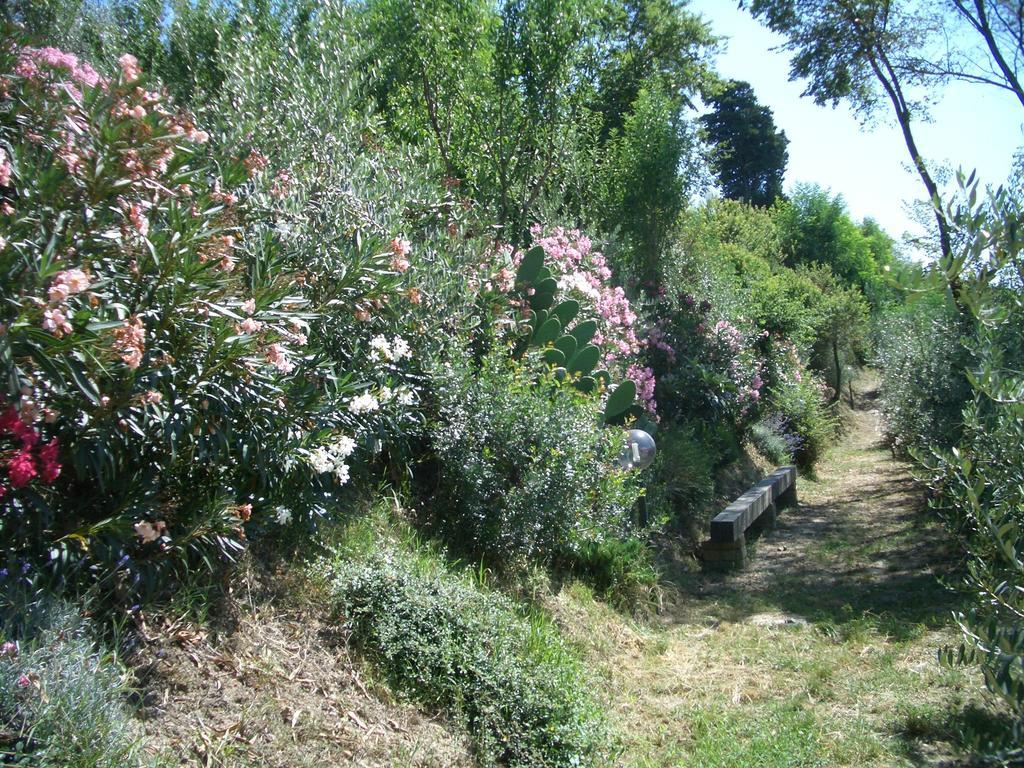 Maison d'hôtes Gli Oleandri à Castelfiorentino Extérieur photo